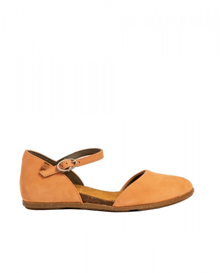 ND54 PLEASANT PEACH/STELLA 36