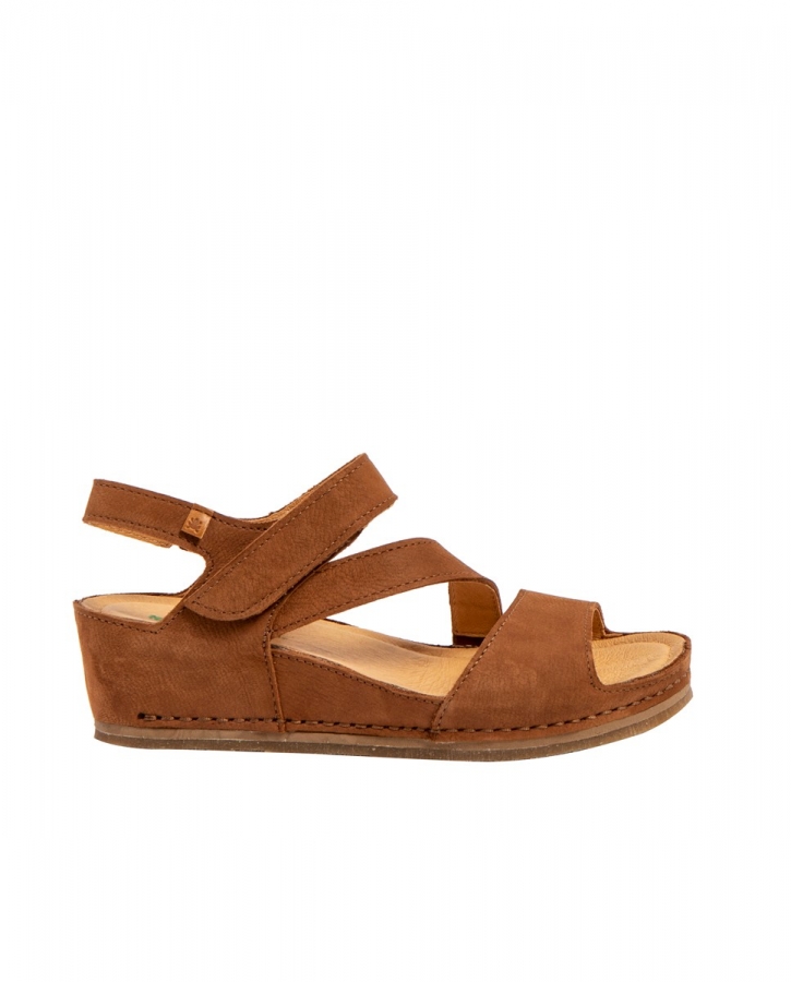 N5852 PLEASANT WOOD / PICUAL 36
